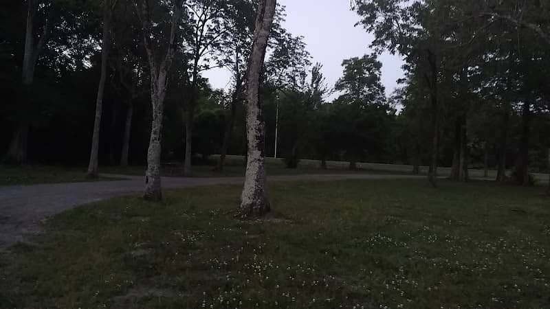 Park - Image 2