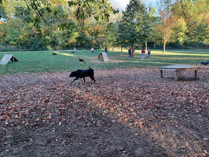 Ariss Park Dog Run - Image 1