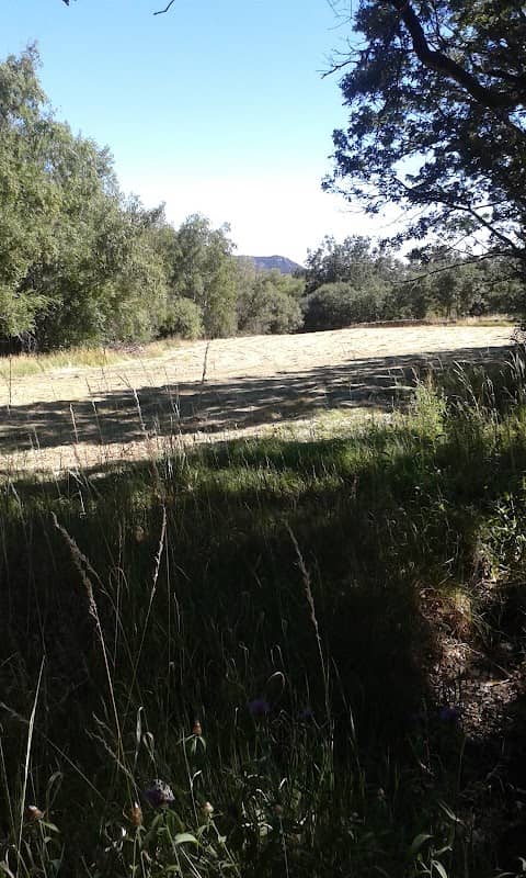 Las Matas del Guijo - Image 1