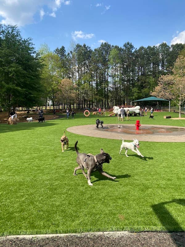 Newtown Dream Dog Park - Image 2