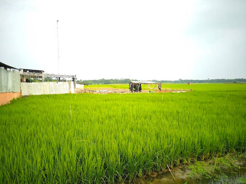 Balisha view point - Image 1