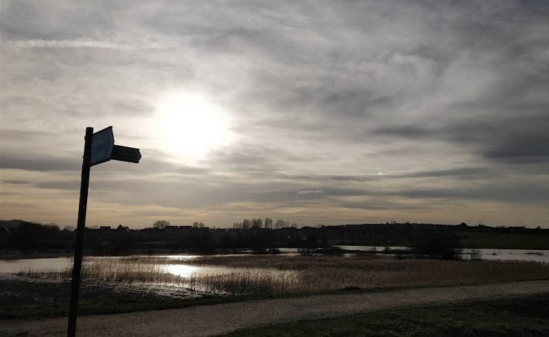 Mexborough Low Pastures - Image 1