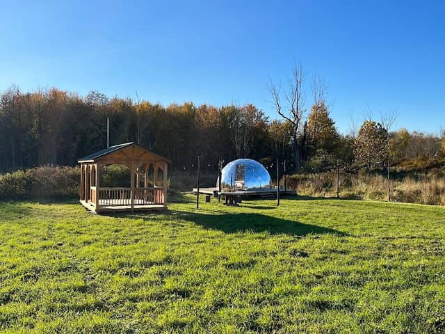 Dome in wildlife - Image 1