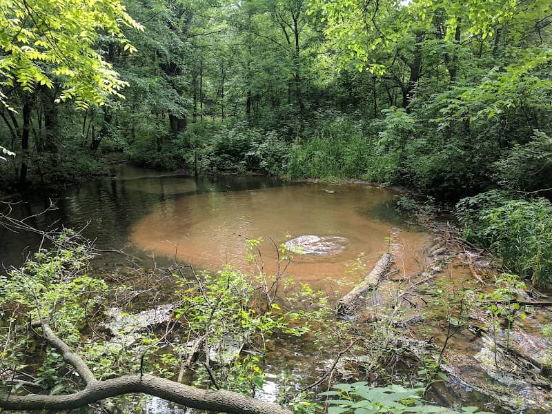 Boiling Springs - Image 2