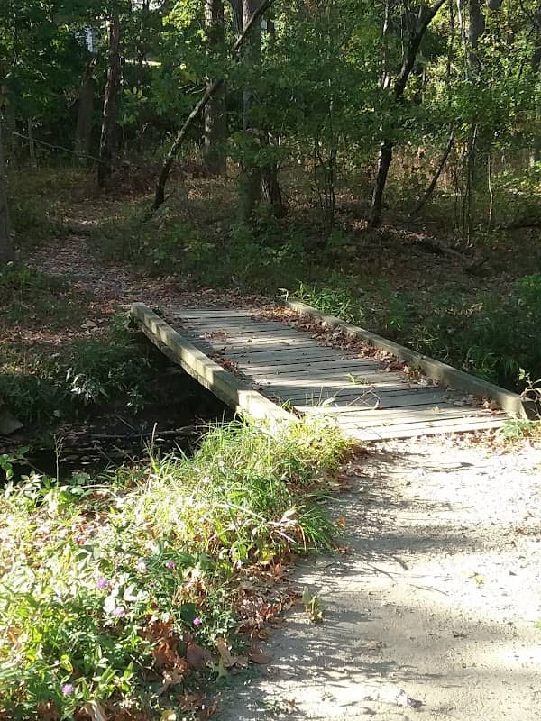 Picnic area for Lake Pipe Organ - Image 1