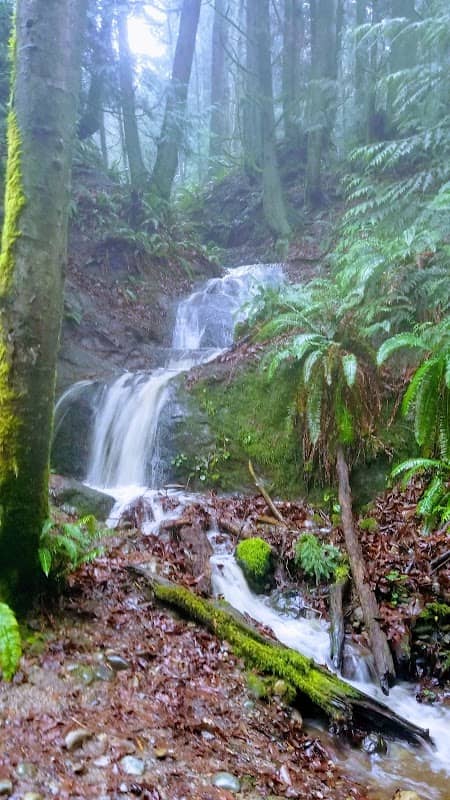 North Chuckanut Mountain Trailhead - Image 1