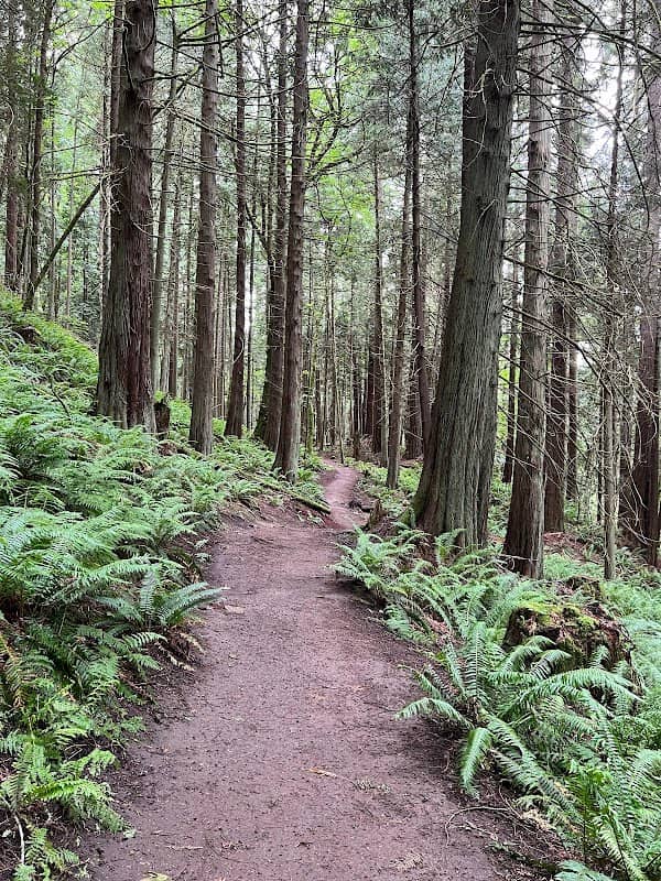 North Chuckanut Mountain Trailhead - Image 2