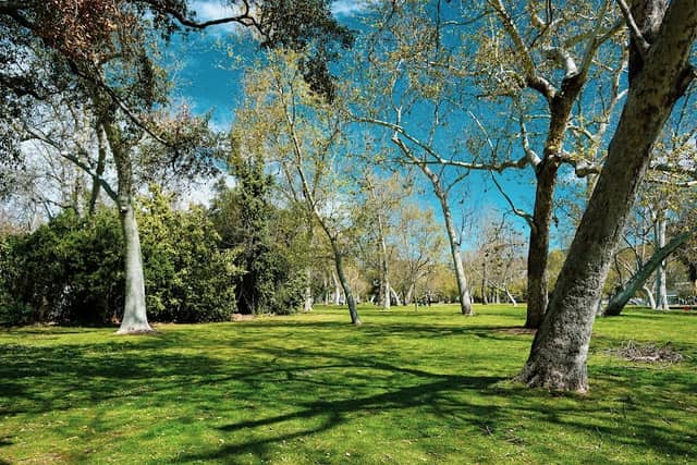 Verdugo Park - Image 2