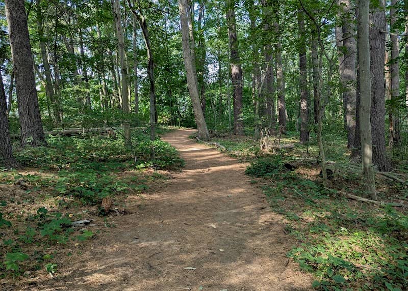Lake Williams Trail - Image 1