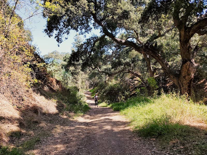 Colby Trail - Image 5