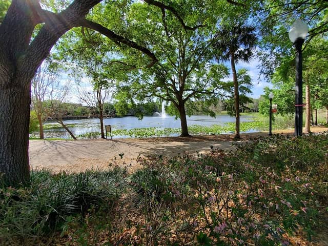 Lake Lily Park - Image 2