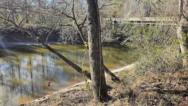 SwimHole - Image 3