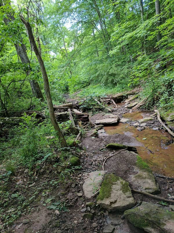 Broughton Nature & Wildlife Reserve Camp - Image 1