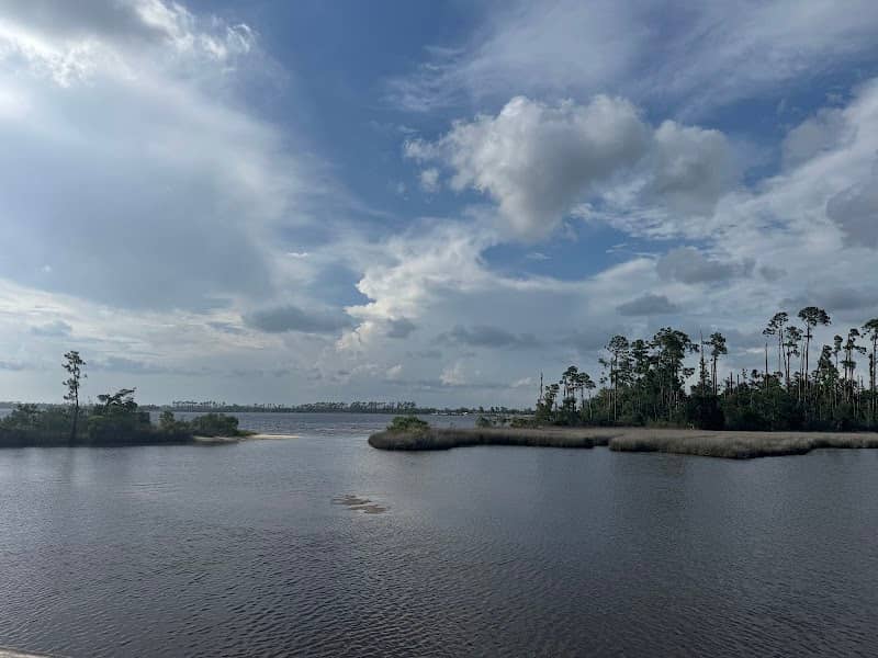 Lynn Haven Conservation Park Hiking Trail - Image 1