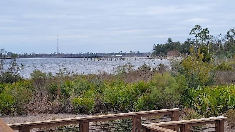 Lynn Haven Conservation Park Hiking Trail - Image 2
