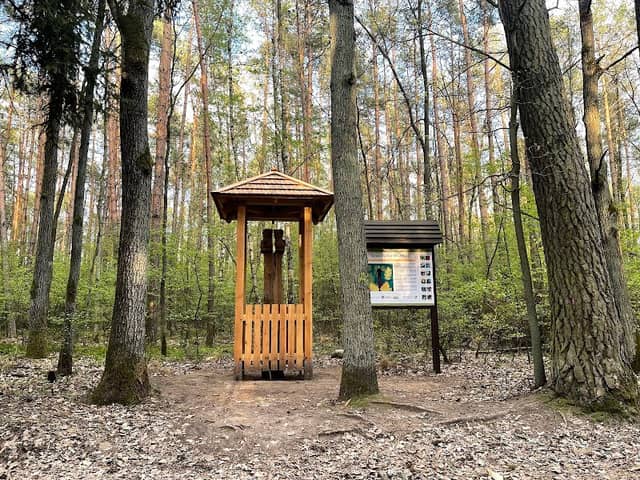 Mysterious Pole - Image 1