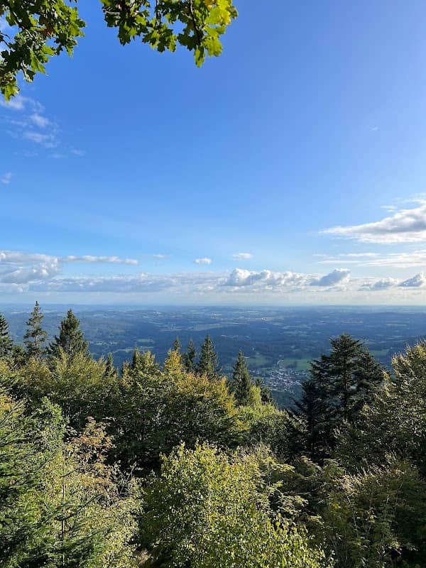 Hintberger-Stein - Image 1