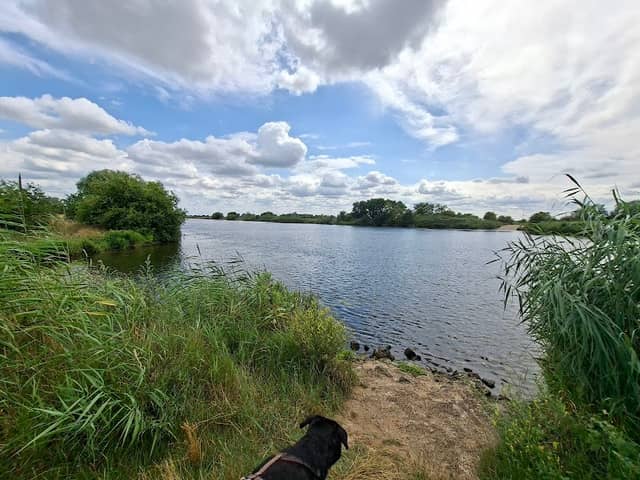Eissel an der weser - Image 1