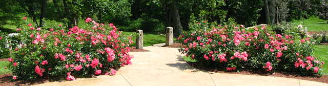 Clary Gardens - Image 1