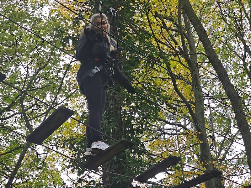 Go Ape Rivington - Image 1