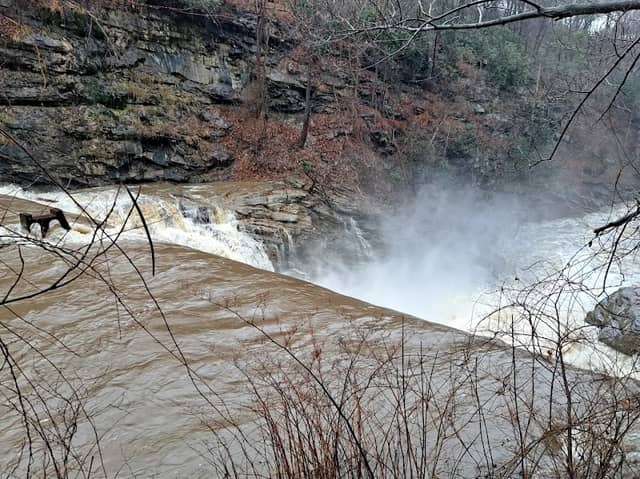 Step Falls - Image 1