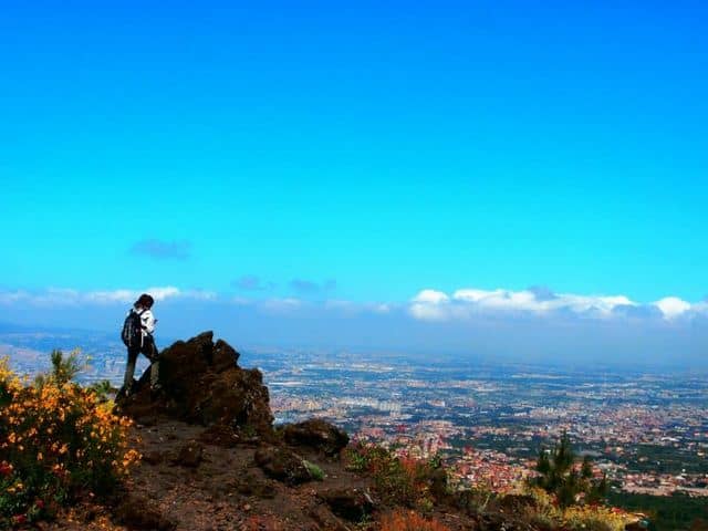 Associazione Vesuvio Natura da Esplorare - Image 1