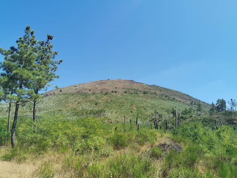 Associazione Vesuvio Natura da Esplorare - Image 2