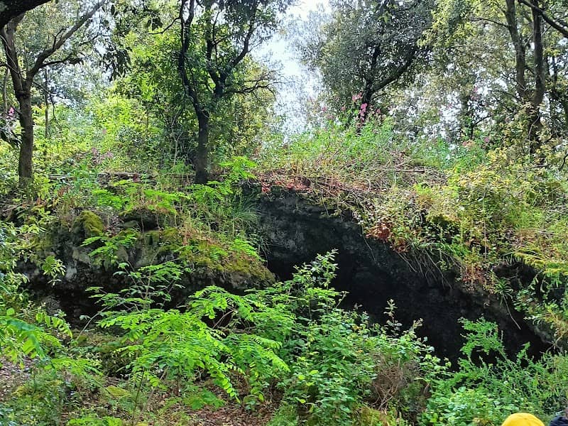 Associazione Vesuvio Natura da Esplorare - Image 3