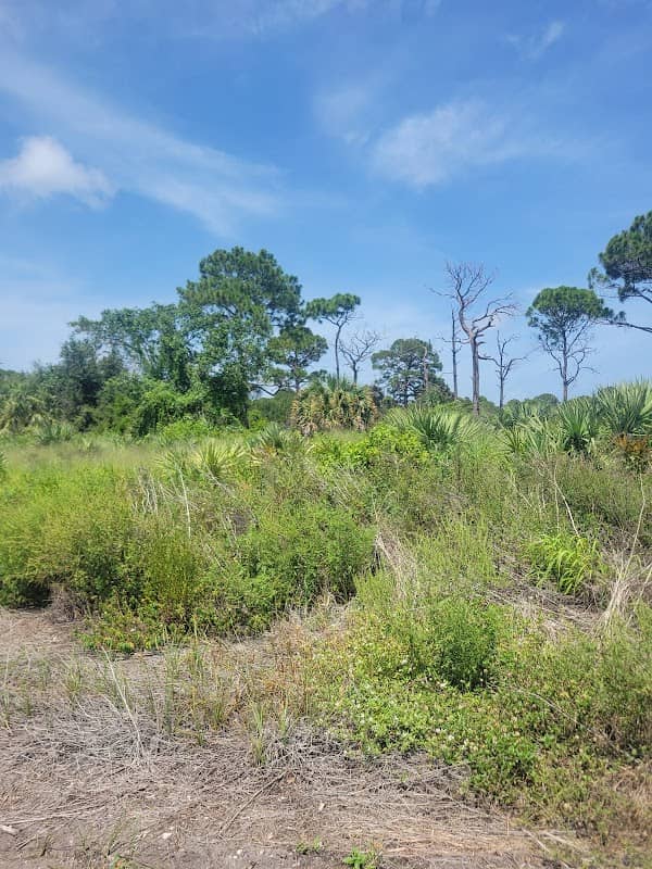 Military Trail Natural Area - Image 1