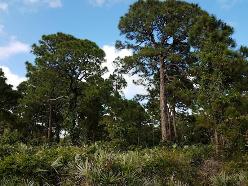 Military Trail Natural Area - Image 3