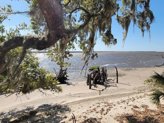 Brickhill Bluff Wilderness Campsite - Image 2