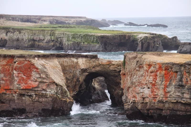 Point Arena-Stornetta Public Lands - Image 2