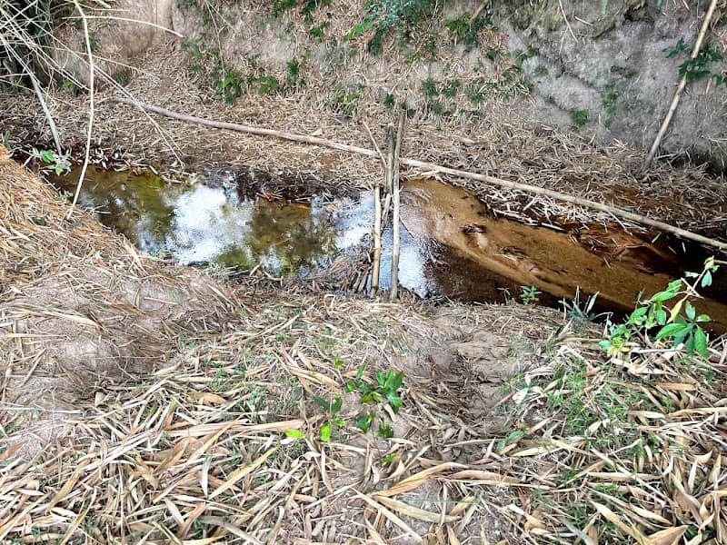 คลองลึกคาแนล : Klongluek Canal - Image 1
