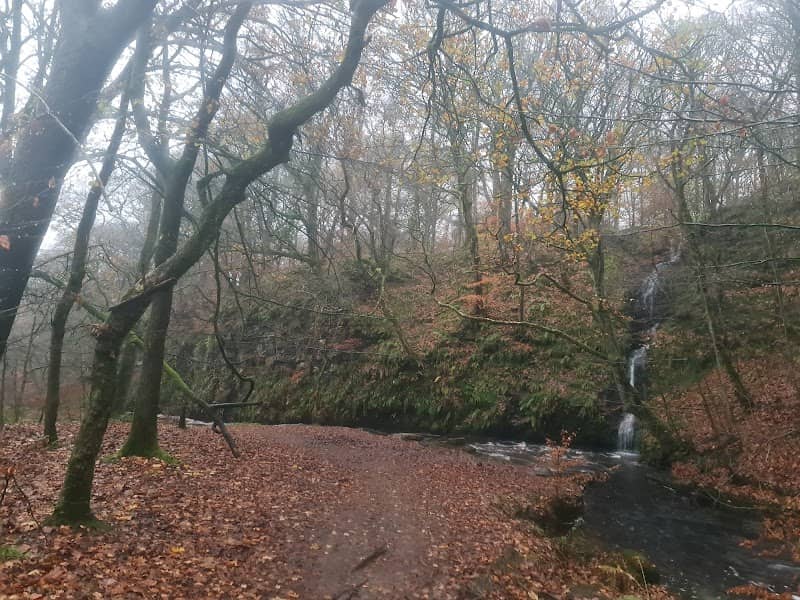 Mill Lane Waterfall - Image 2