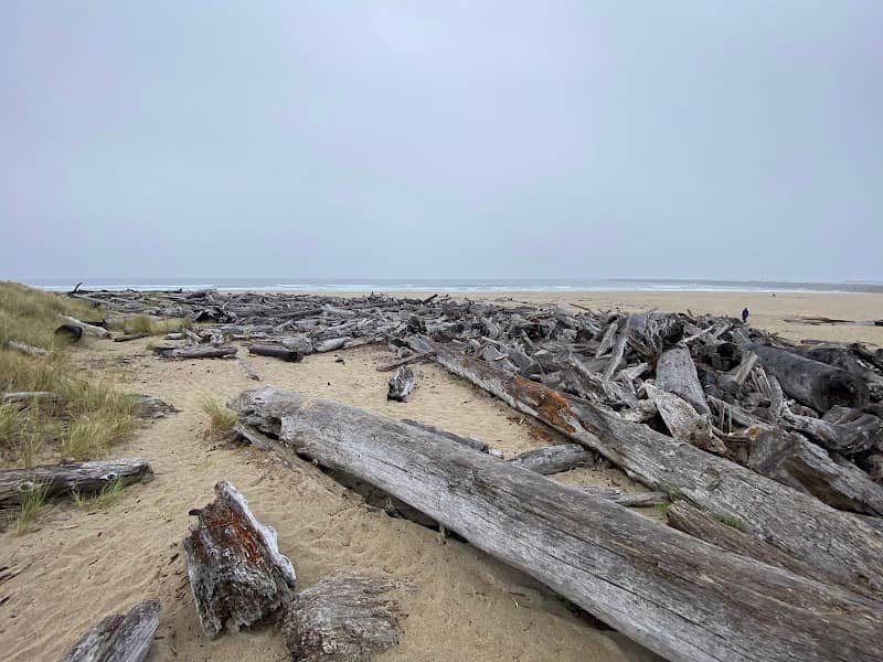 South Umpqua Jetty Beach Access - Image 3