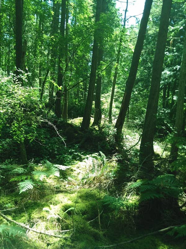 Lopez Hill - Image 1