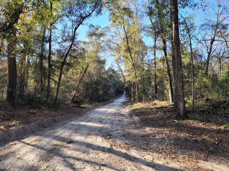 Old Bellamy Road Interpretive Trail - Image 1