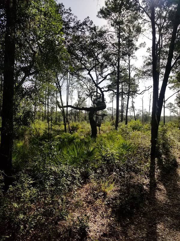 Old Bellamy Road Interpretive Trail - Image 2