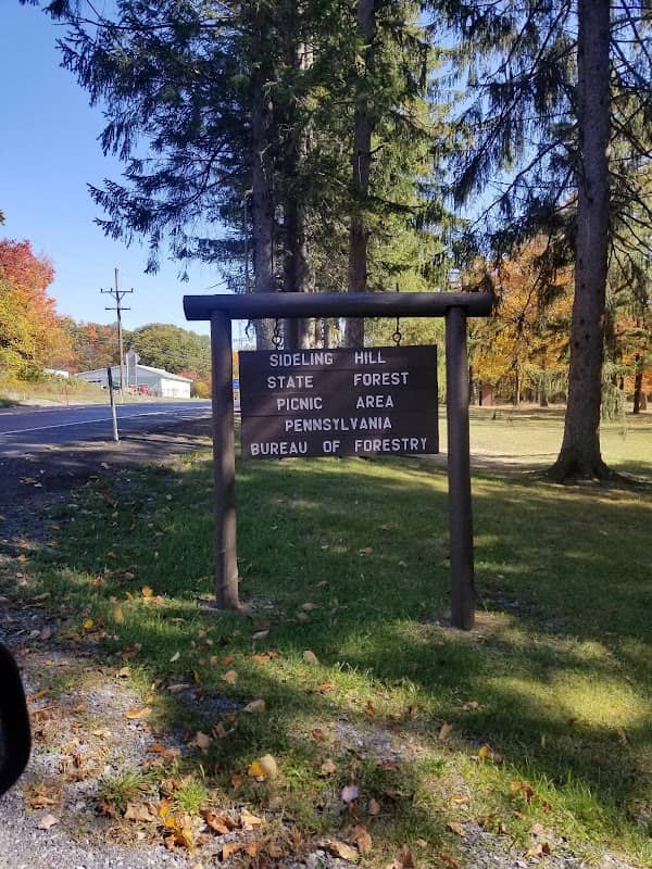 Sideling Hill State Forest Picnic Area - Image 2