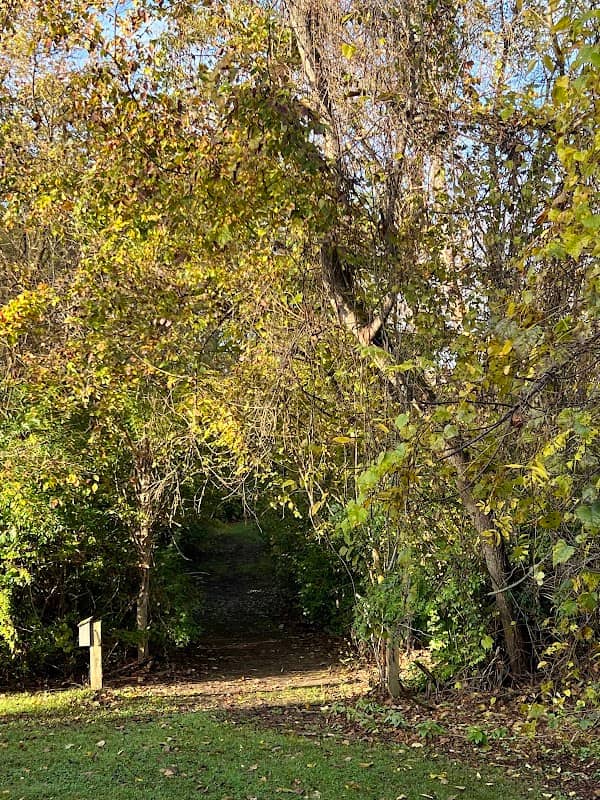 Mount Gilead state Park Equestrian Trails - Image 1