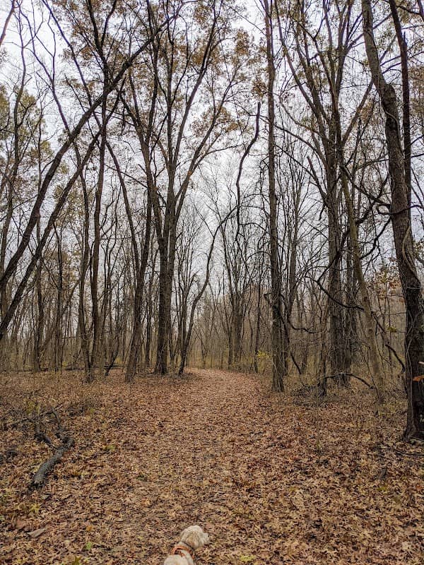 New Albany Nature Preserve and Wetlands - Image 1