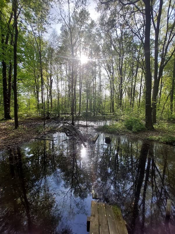 New Albany Nature Preserve and Wetlands - Image 1