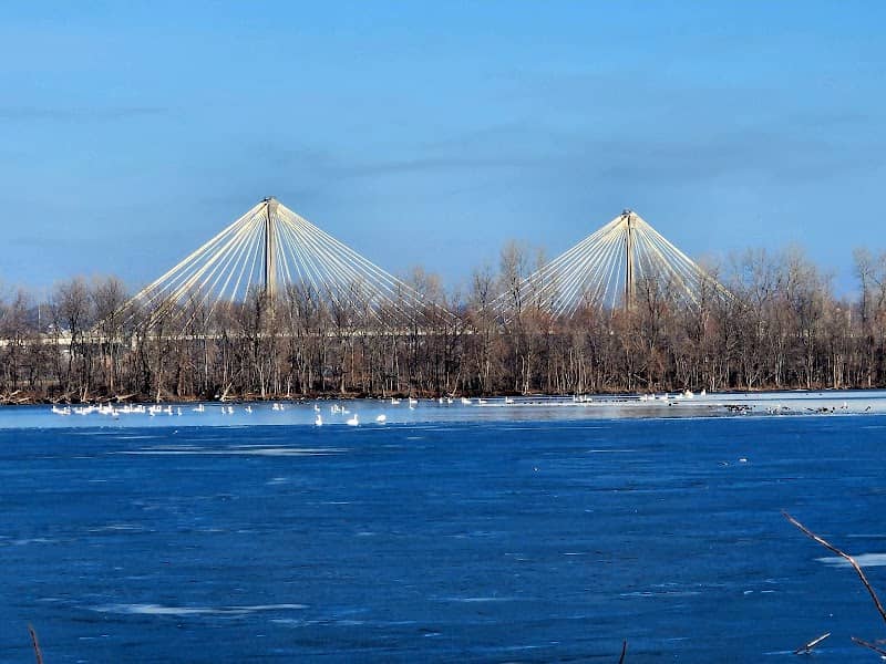 Audubon Center at Riverlands - Image 1