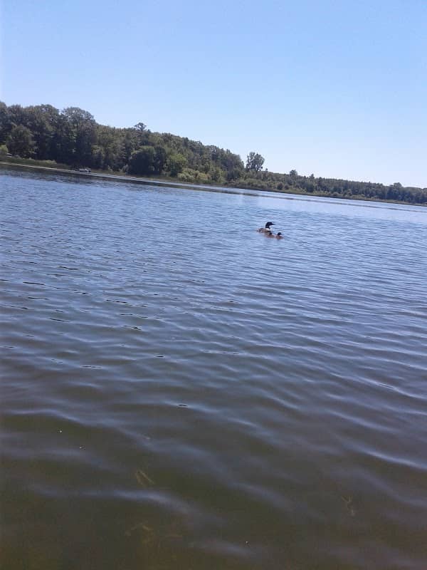 Tallman Lake - Image 1