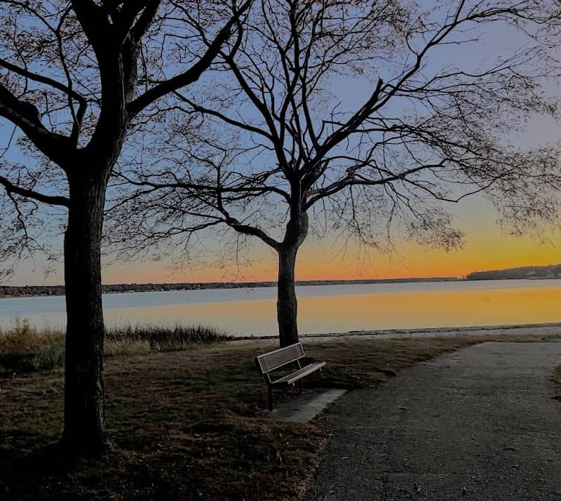 Maple Grove Park - Image 1