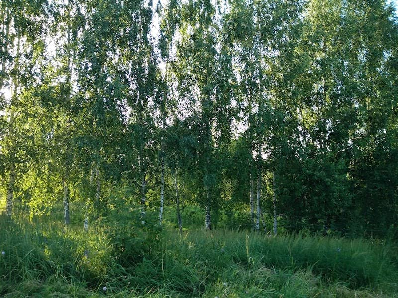 Park - Image 1