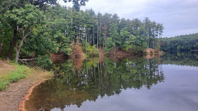 Meadow Brook Conservation Area - Millvale - Image 1