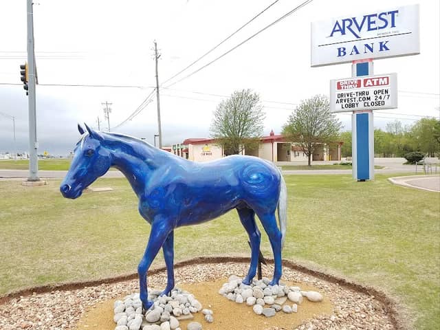 Painted Horse "To The Stars" - Image 1