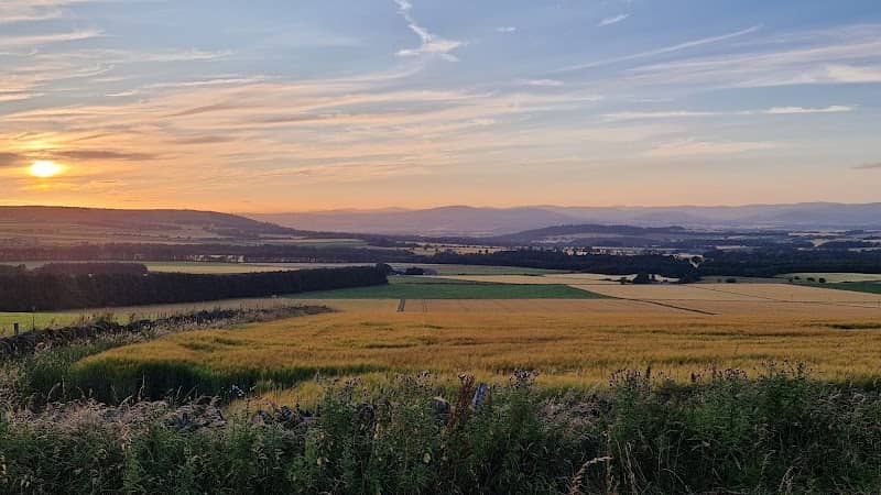 Carrot Hill - Image 1