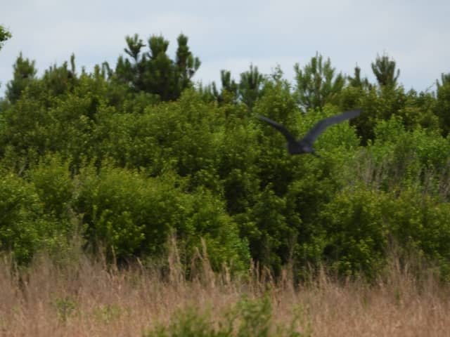 North River Wetlands Preserve - Image 1